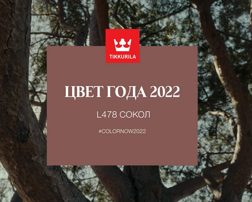 Цвет Года 2022 от Tikkurila - L478 Сокол.