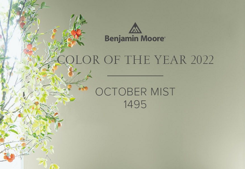Цвет Года 2022  от Benjamin Moore- October Mist 1495!