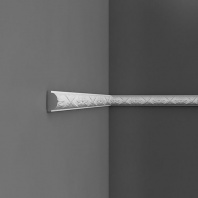 P 2020 ORAC Молдинг (2м) (снято)